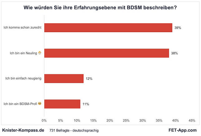Umfrage Erfahrungsebene mit BDSM